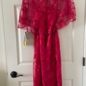 Beautiful. Lacy Fucshia Color Ocassional Dress